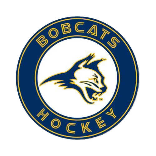 Brandon Gorzynski - Arizona Bobcats U10 HockeyRating.com